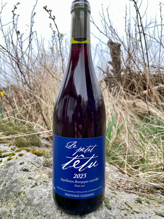 Jean Marie Berrux - Bourgogne Rouge "Le Petit Têtu Rouge" 2023