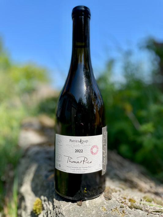 Domaine Pattes Loup, Chablis 1er Cru "Les Vaillons" 2022