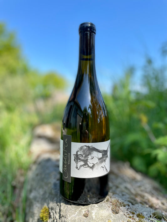 Domaine Pattes Loup, Chablis 1er Cru "Les Vaillons" 2022