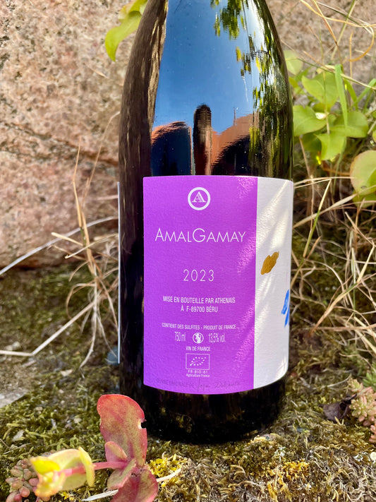 Athénaïs Béru - AmalGamay 2023