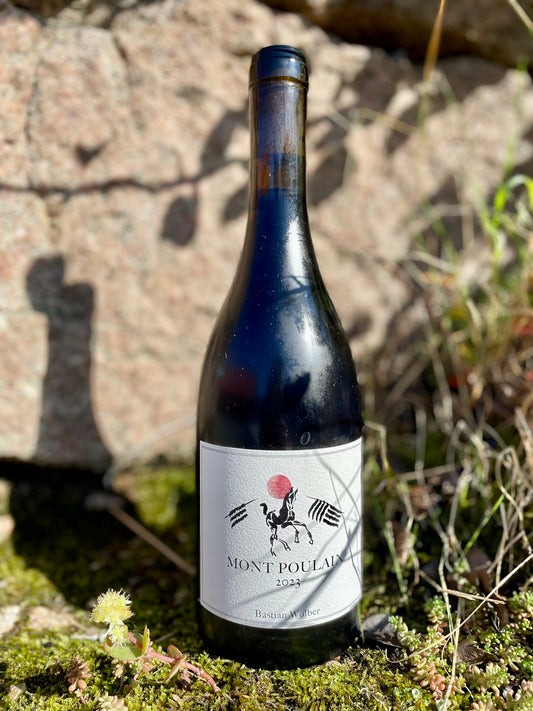 Bastian Wolber, Mont Poulain - Coteaux Bourguignons 2023