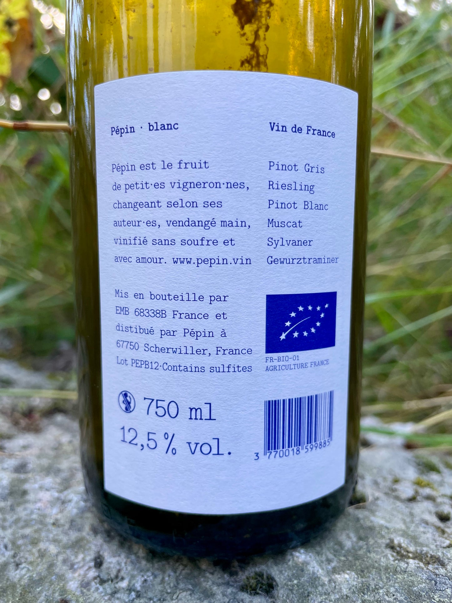 Pépin - Blanc '23