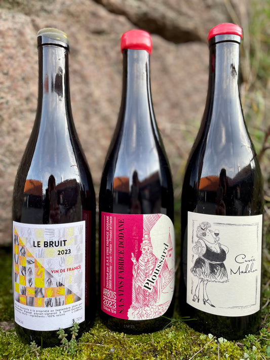 Bornholmerkassen no. 28 Alexandre Plassat │ Fabrice Dodane │ Ganevat