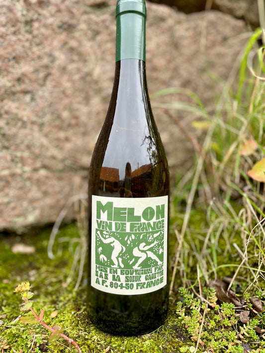 La Sœur Cadette - Melon 2023