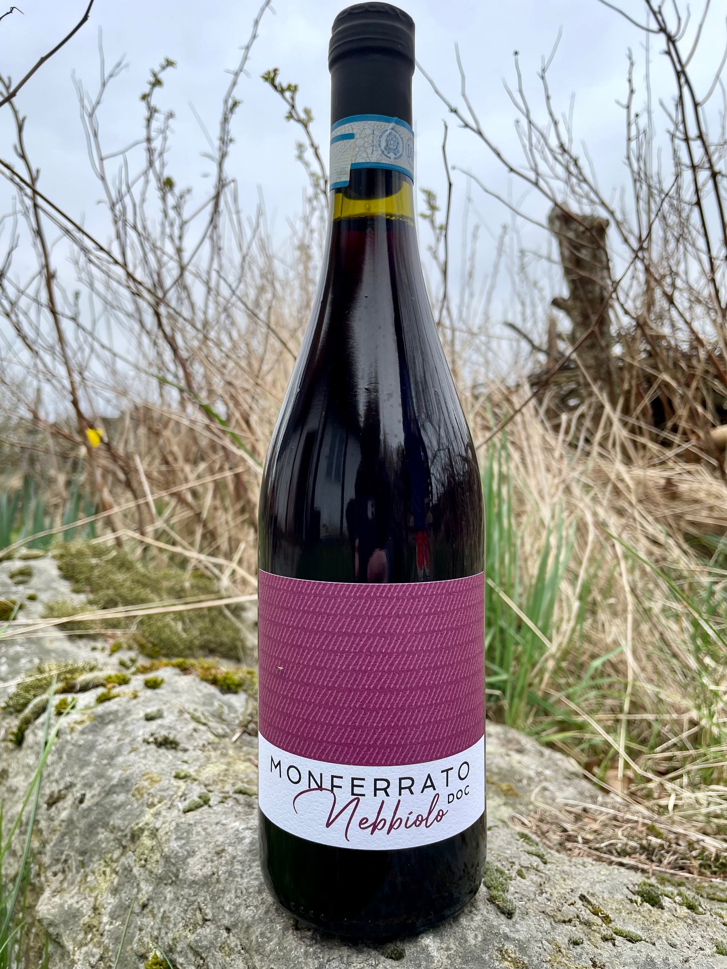 Agricola Gaia, Monferrato Nebbiolo DOC '23