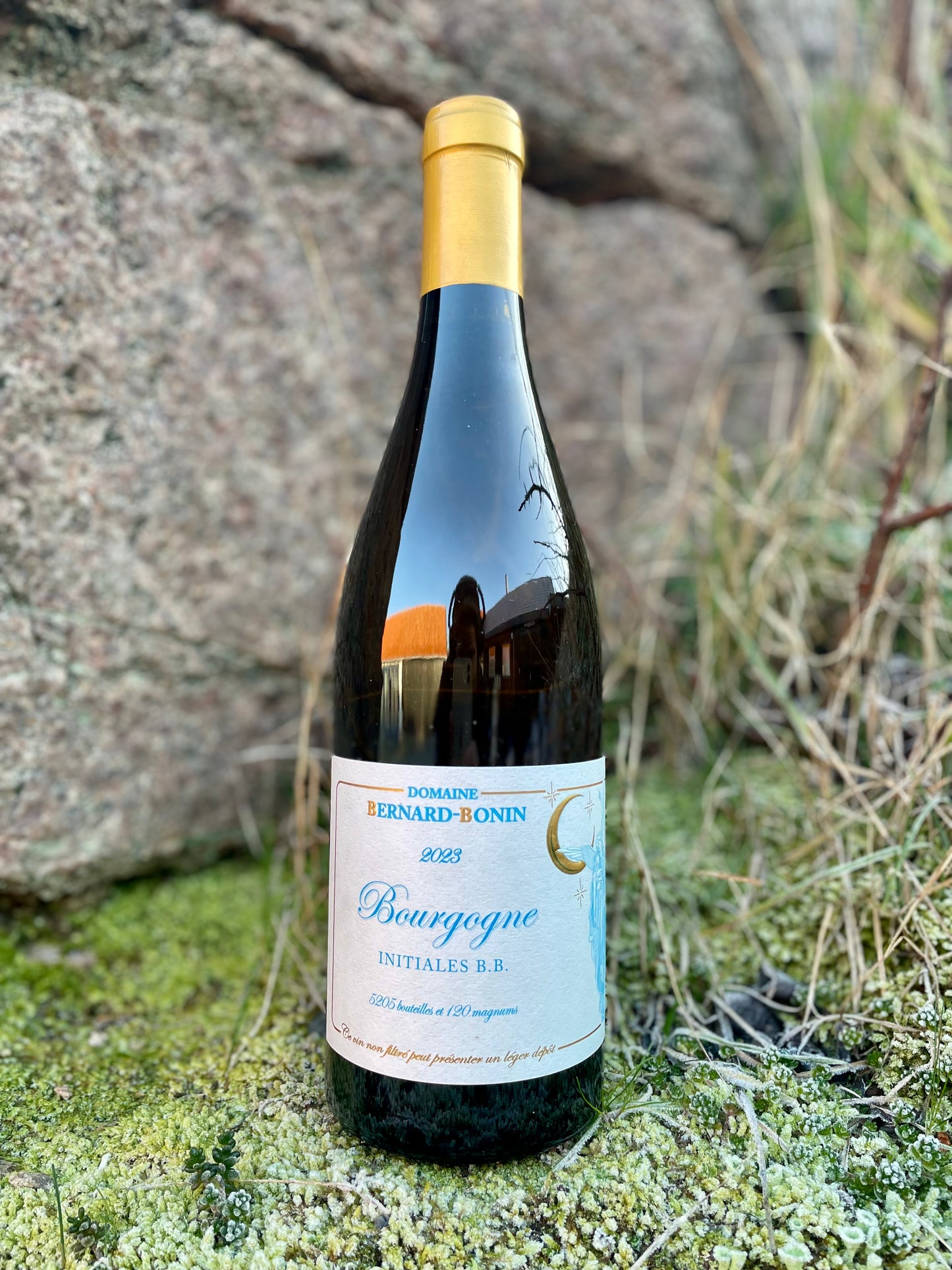 Domaine Bernard-Bonin, Bourgogne Blanc - Initiales B.B. 2023