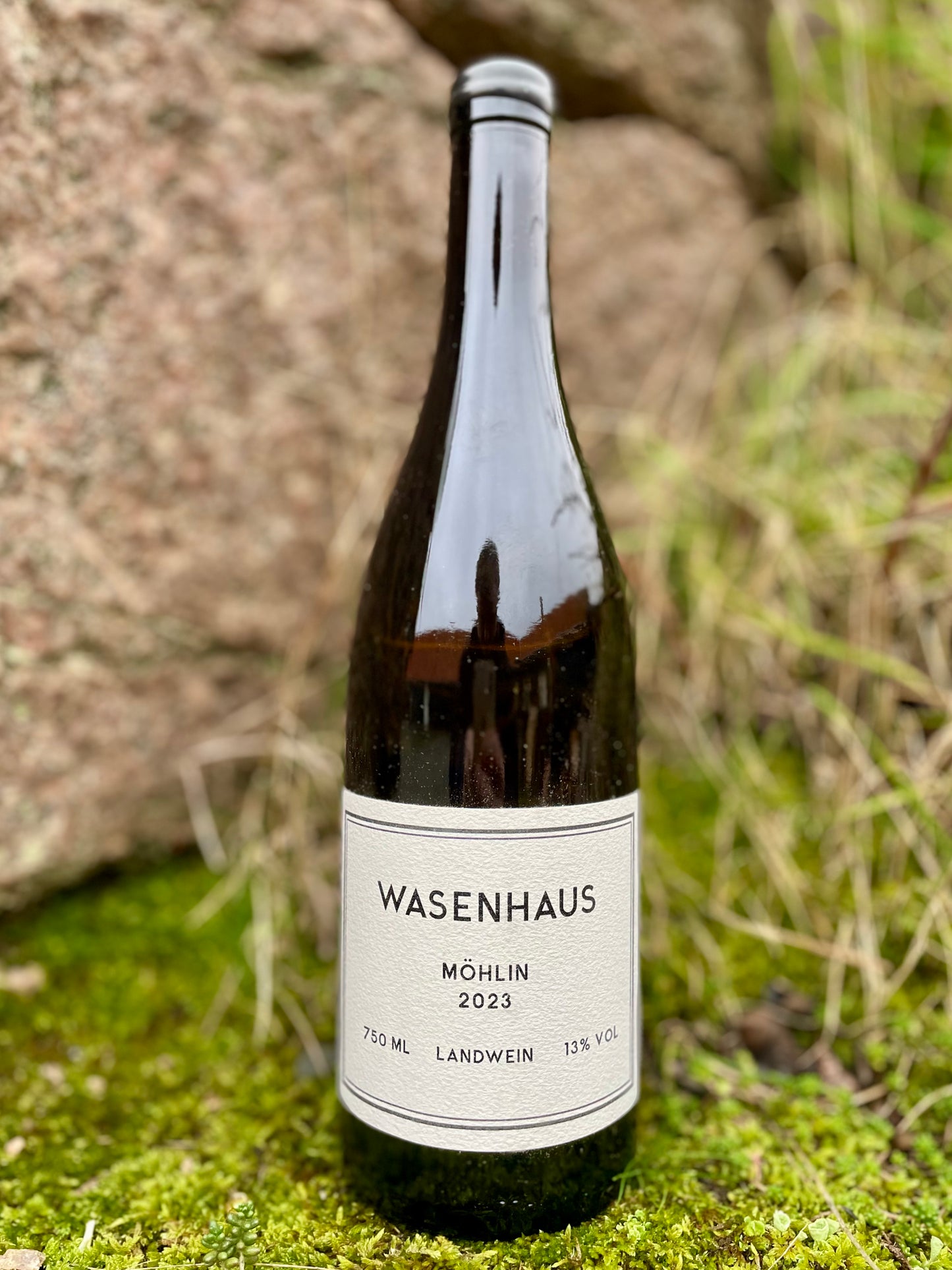 Wasenhaus - Möhlin 2023