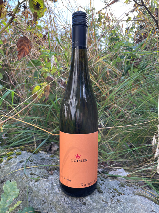Fred Loimer, Riesling Kamptal 2024