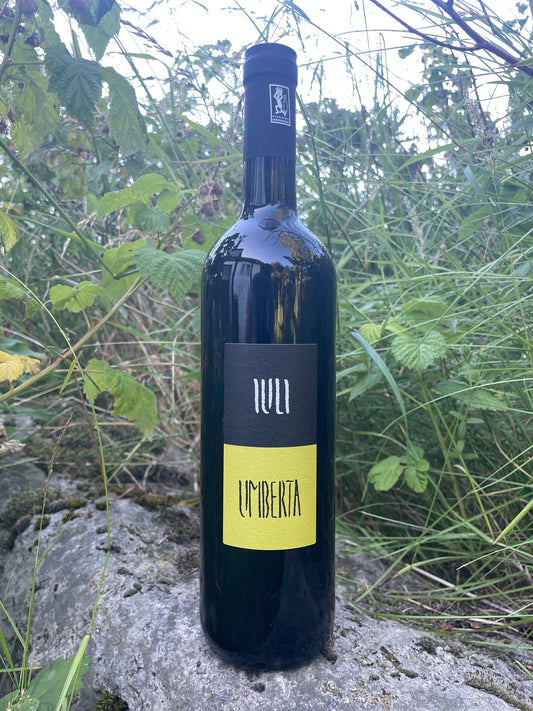 Hylde nr. 137) Iuli, Umberta Barbera, 2023