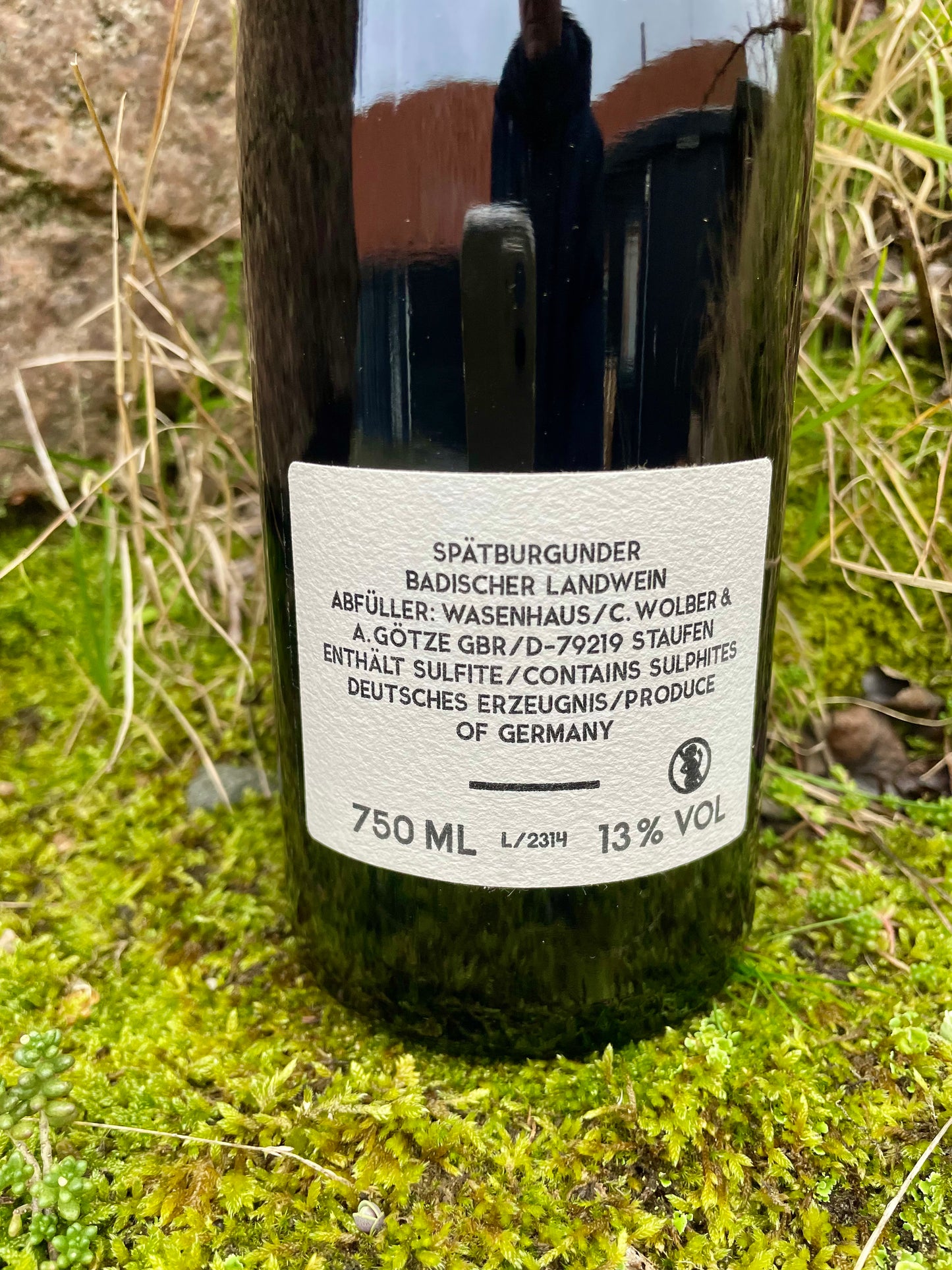 Wasenhaus - Lime 2022