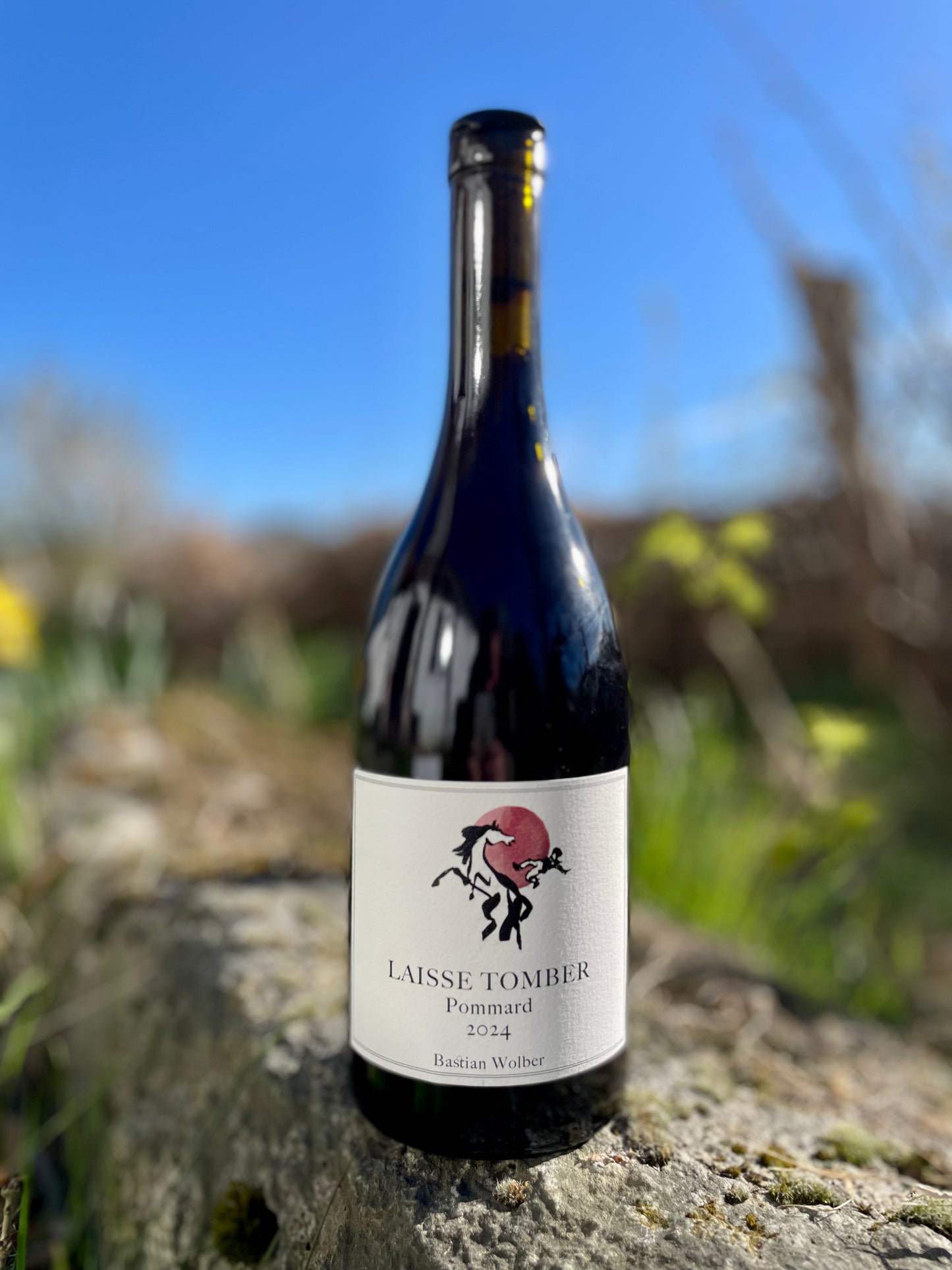 Bastian Wolber, Laisse Tomber - Pommard 2024