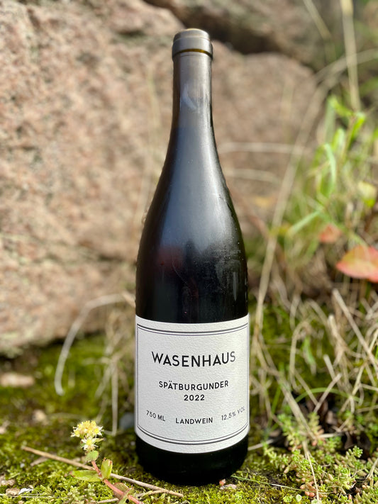Wasenhaus - Spätburgunder 2022