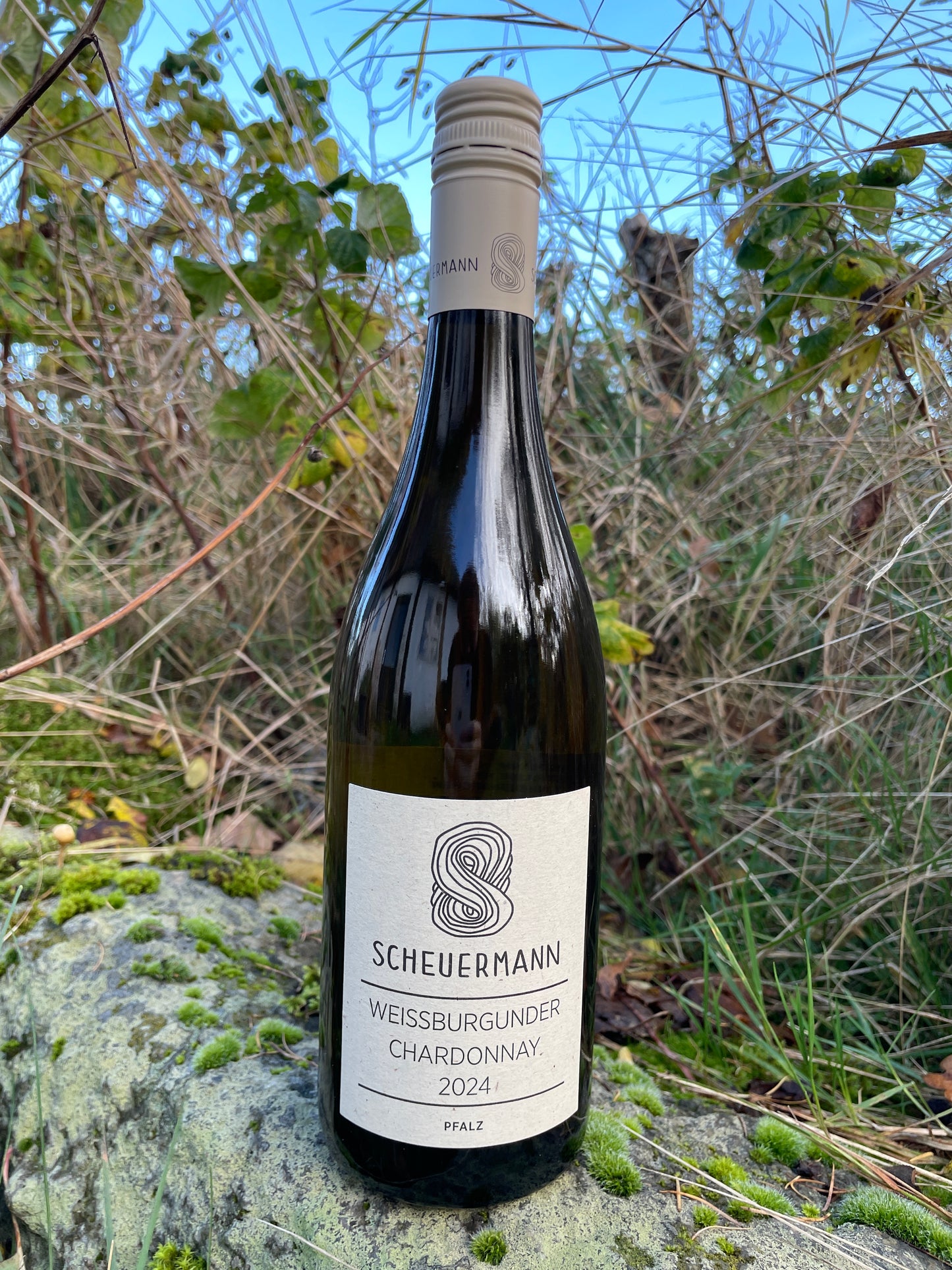 Shelf no. 106) Scheuermann - Weissburgunder &amp; Chardonnay 2024, Palatinate Germany