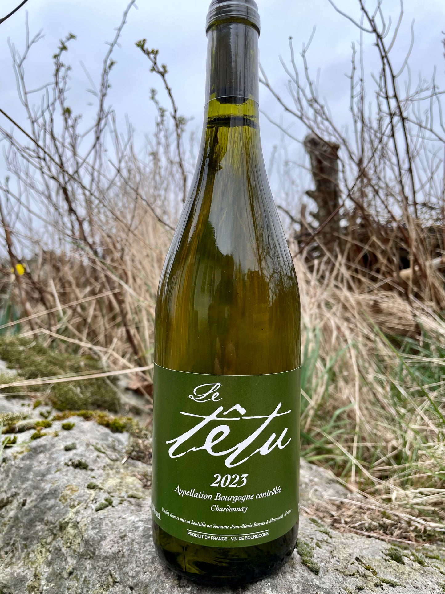 Jean Marie Berrux - Bourgogne - Têtu kasse '23