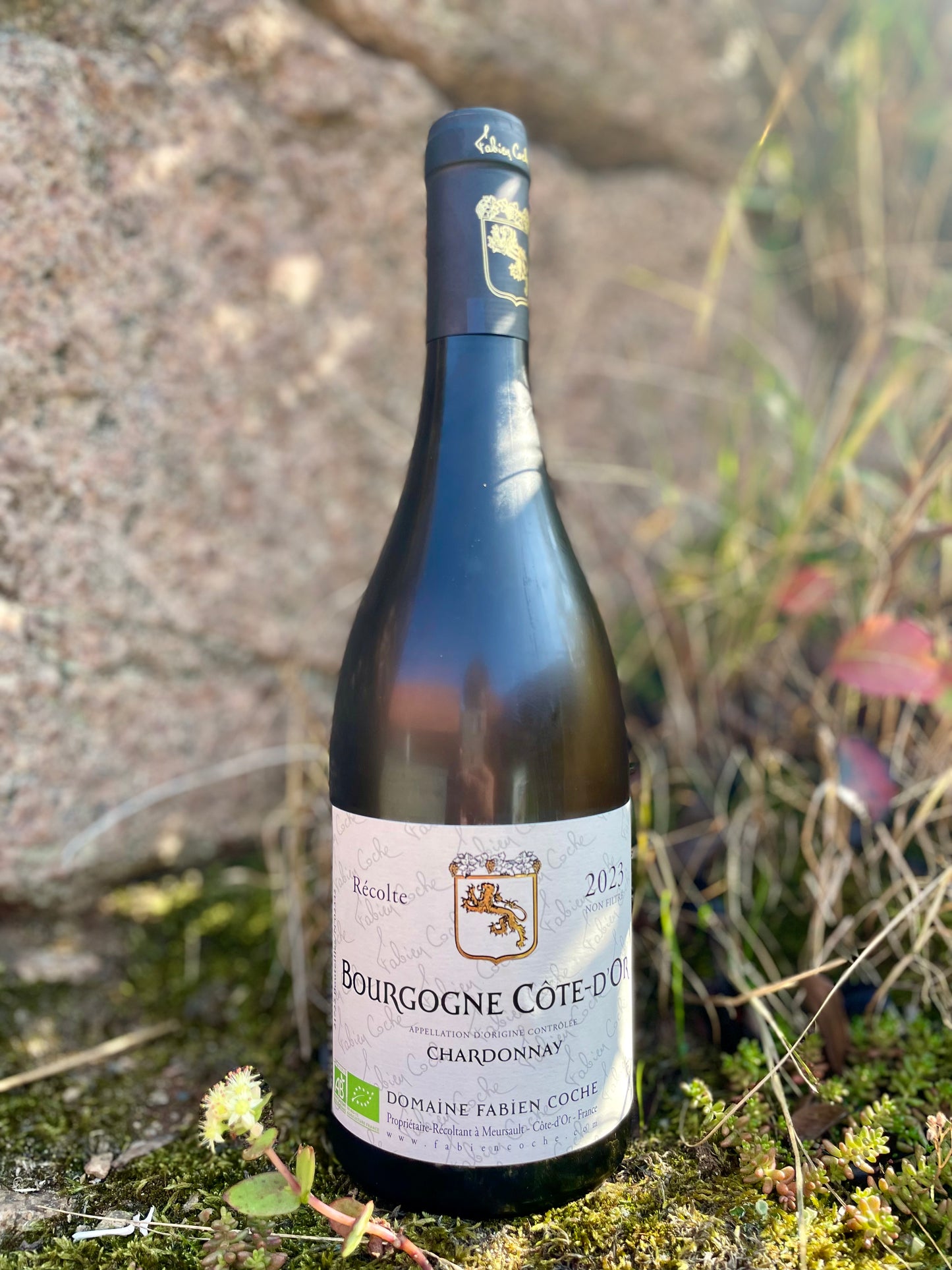 Fabien Coche - Bourgogne Blanc Côte d’Or 2023