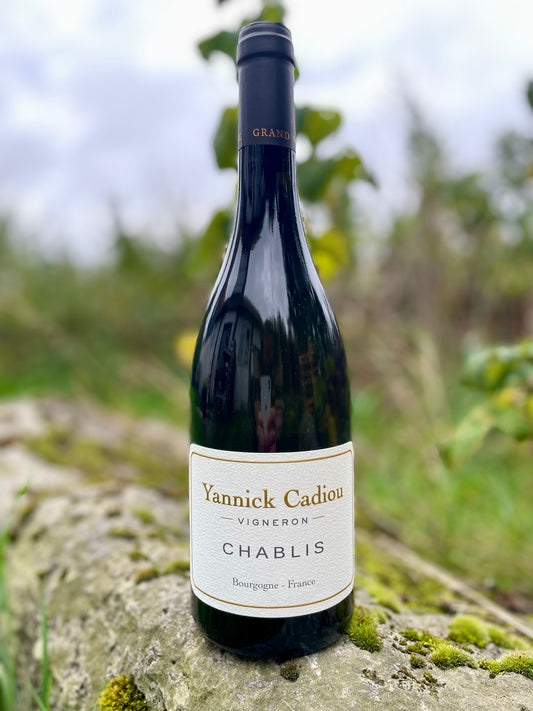 Yannick Cadiou, Chablis 2023