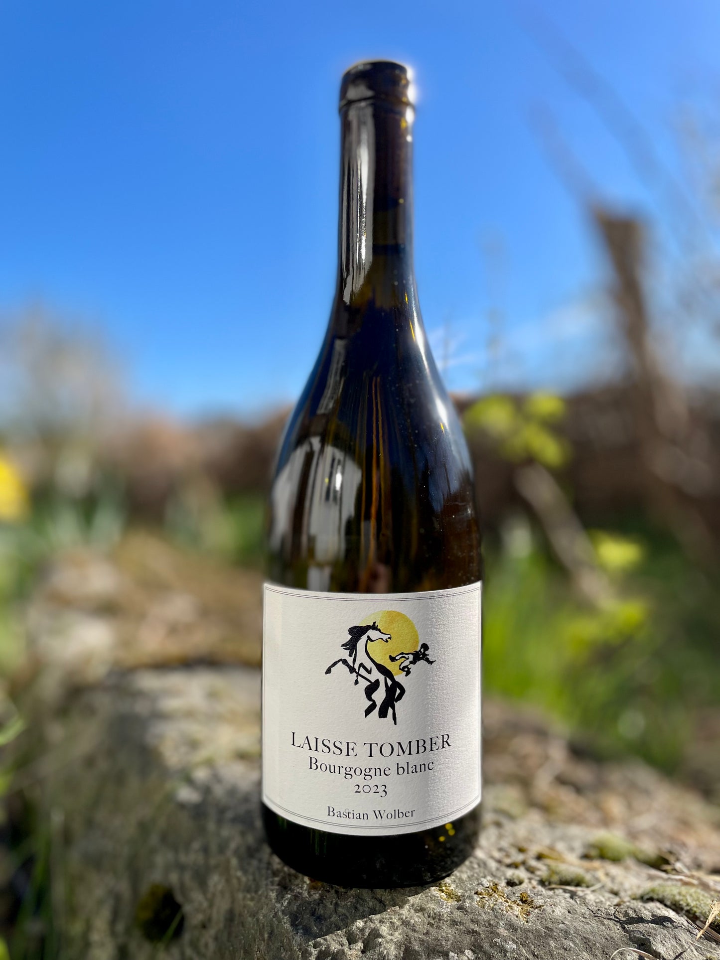 Bastian Wolber, Bourgogne Blanc 2023