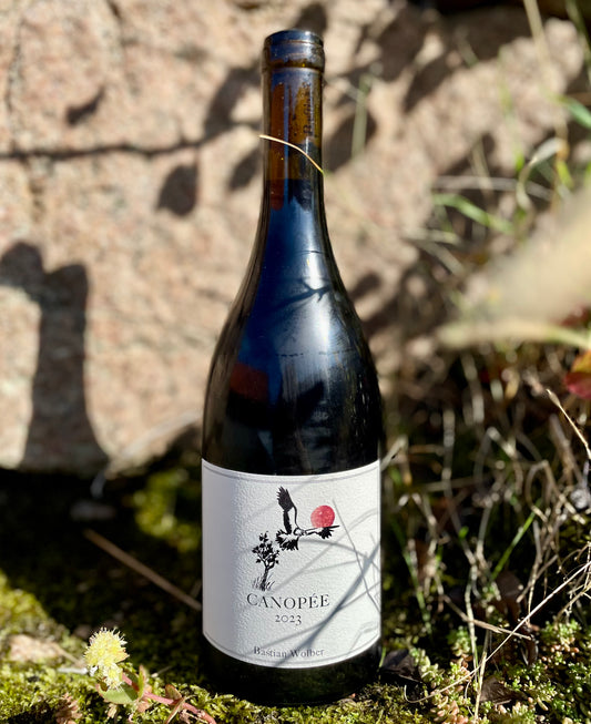 Bastian Wolber, Canopé - Bourgogne Côte d'Or Rouge 2023