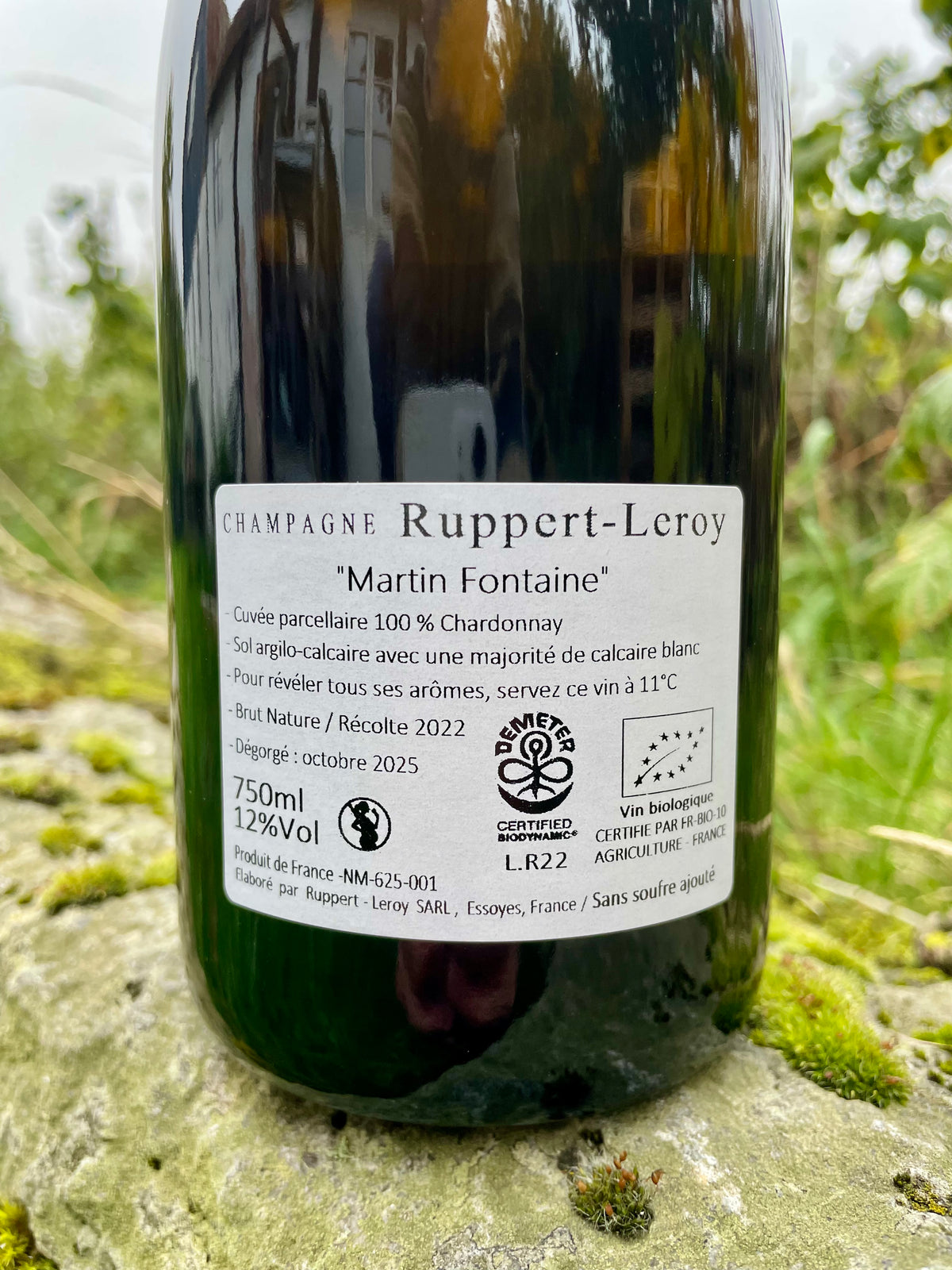 Ruppert-Leroy, Martin Fontaine 2022