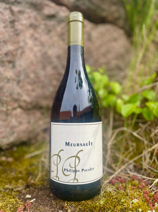 Philippe Pacalet - Meursault 2024