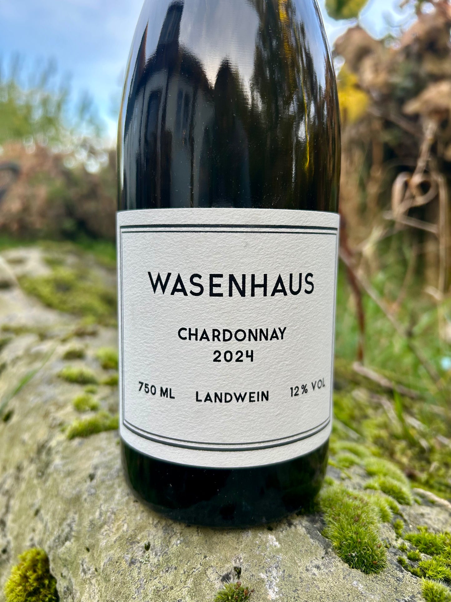 Wasenhaus - Chardonnay 2024