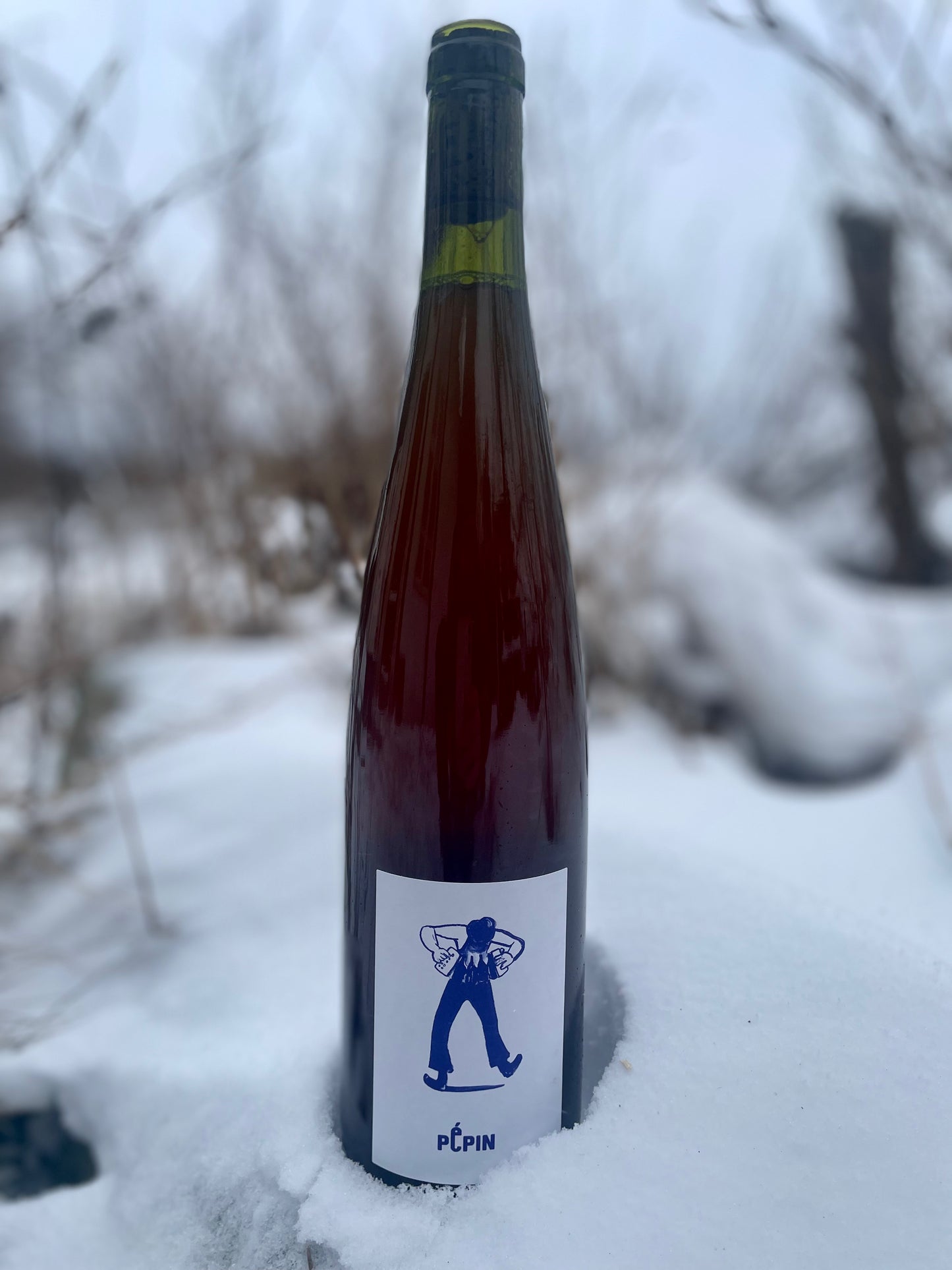 Pépin - Orange 2023