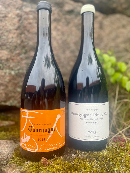 Lou Dumont Koji et Jae Hwa - 5 fl. Bourgogne Rouge & 1 fl. Vieilles Vignes Bourgogne Pinot Noir 2023