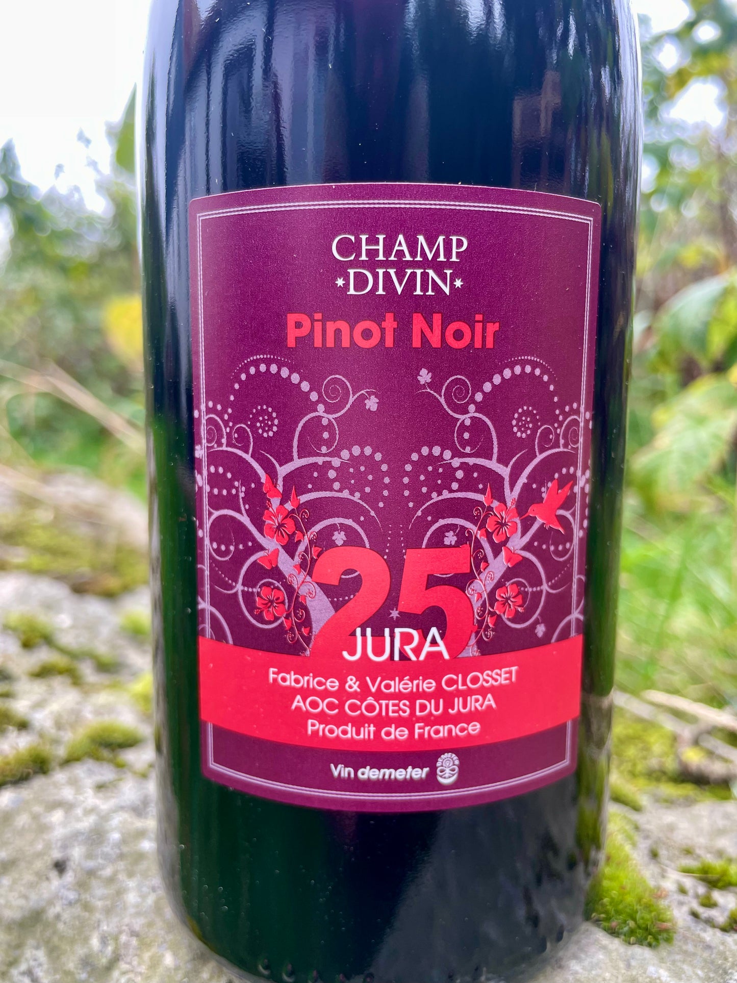 Champ Divin, Pinot Noir 2025