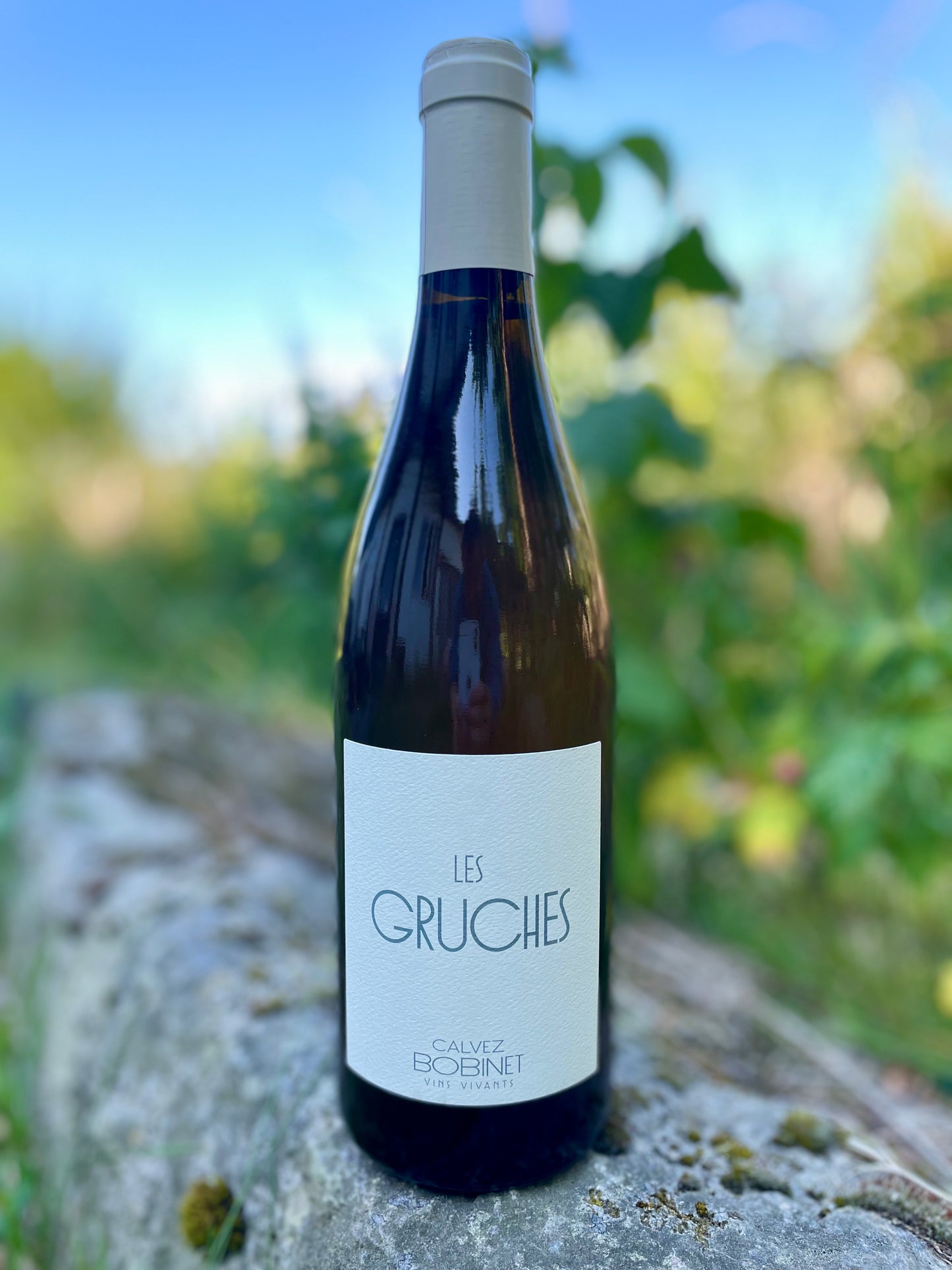 Domaine Bobinet - Les Gruches VdF 2021