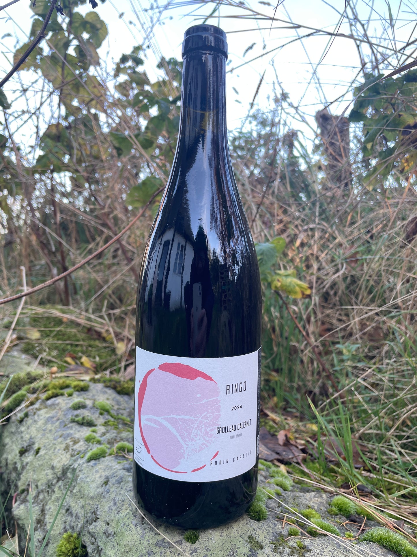 Shelf no. 146) Robin Carette - Ringo '24