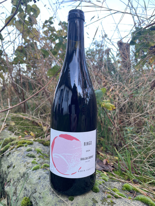 Shelf no. 146) Robin Carette - Ringo '24