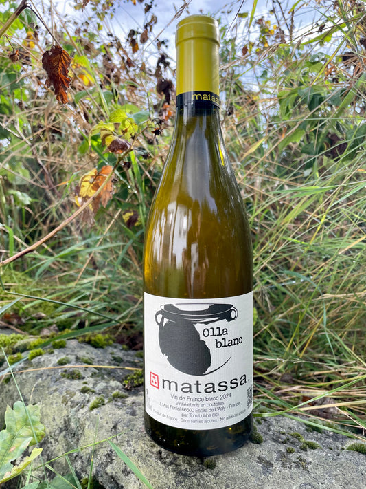 Matassa - Olla Blanc 2024