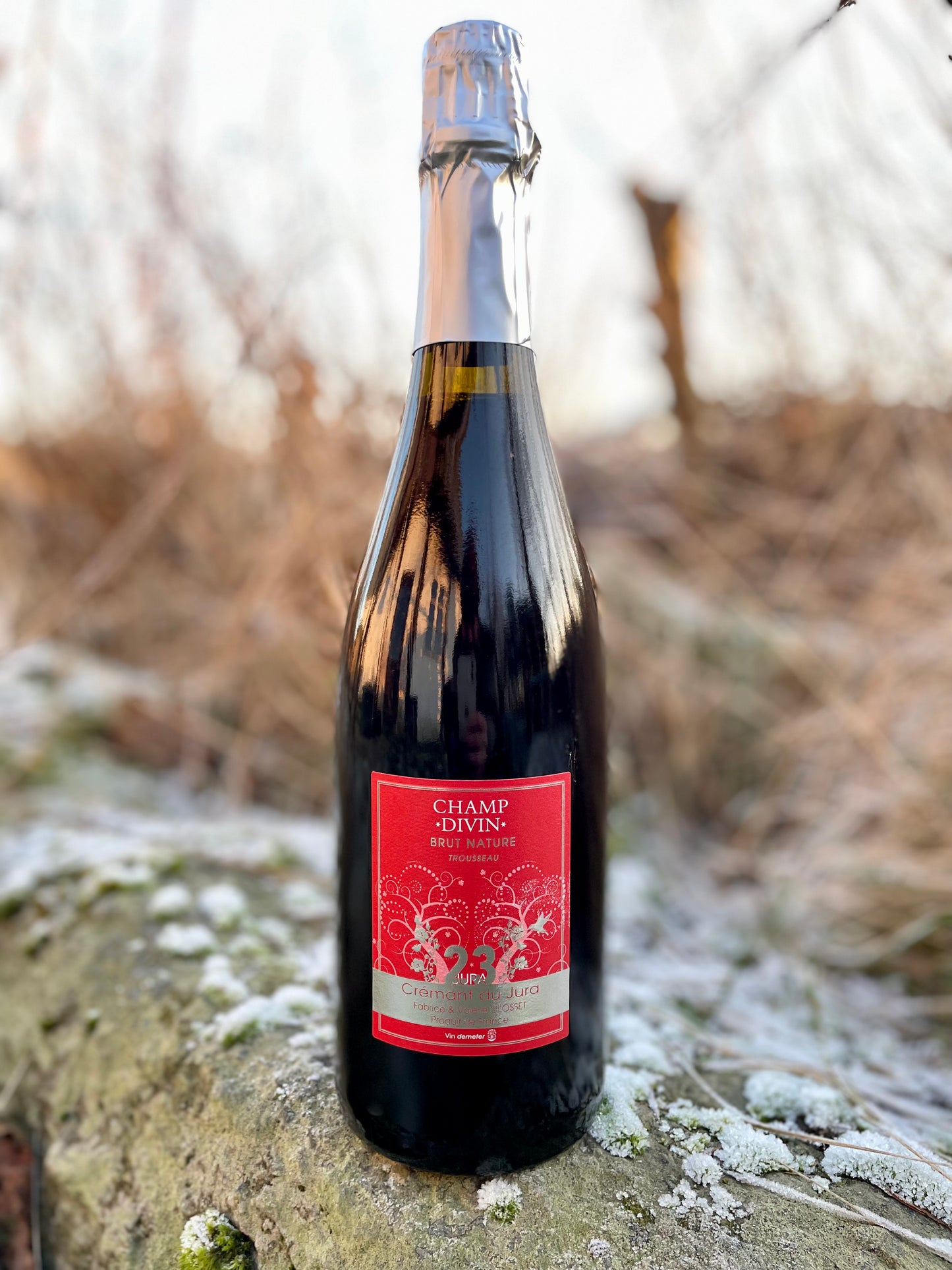 Champ Divin, Crémant Trousseau, Rosé Brut Nature 2023