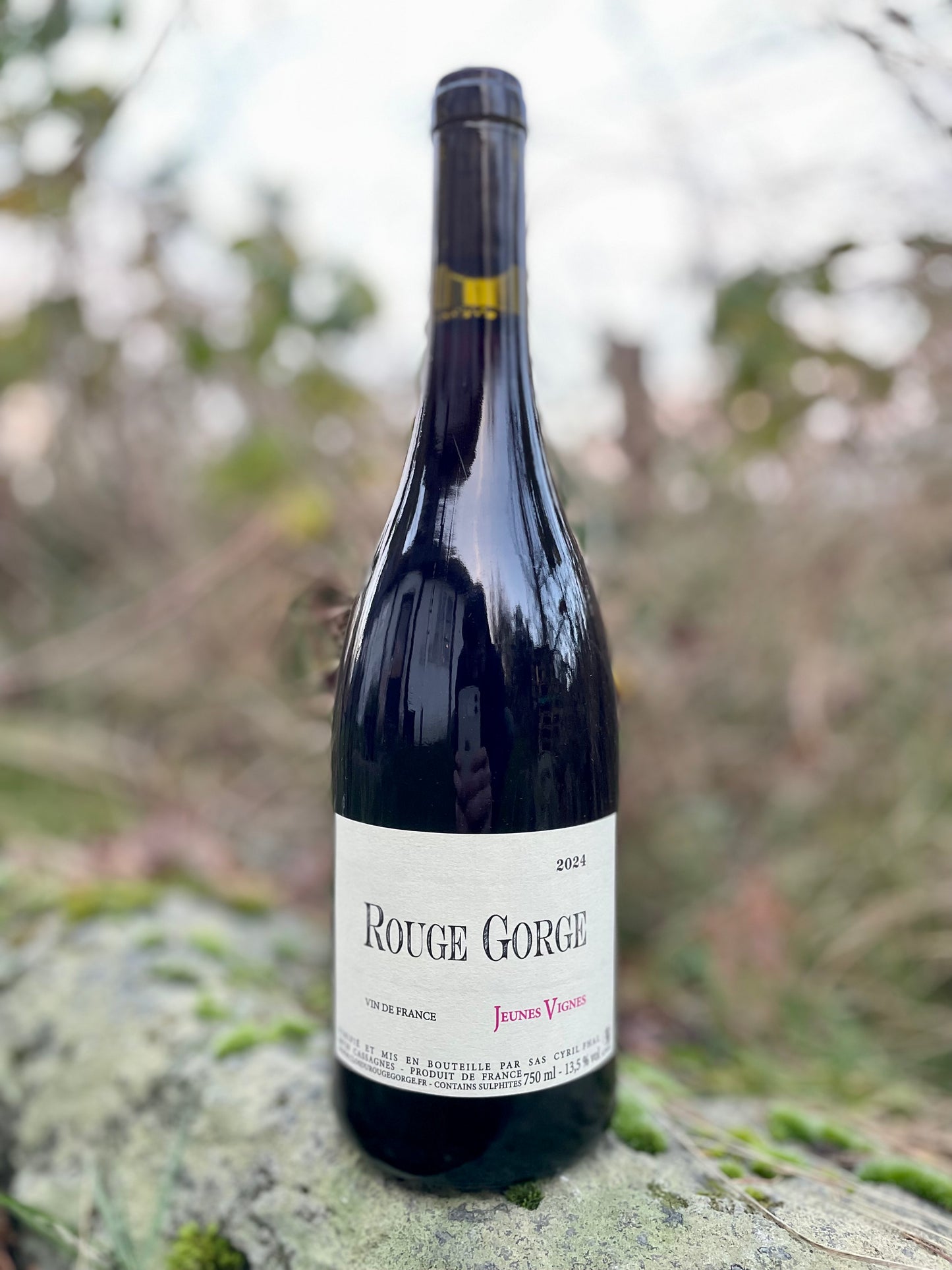 Clos du Rouge Gorge - Jeunes Vignes 2024
