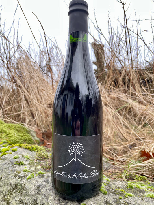 Vignoble de l'Arbre Blanc - Les Orgues '21