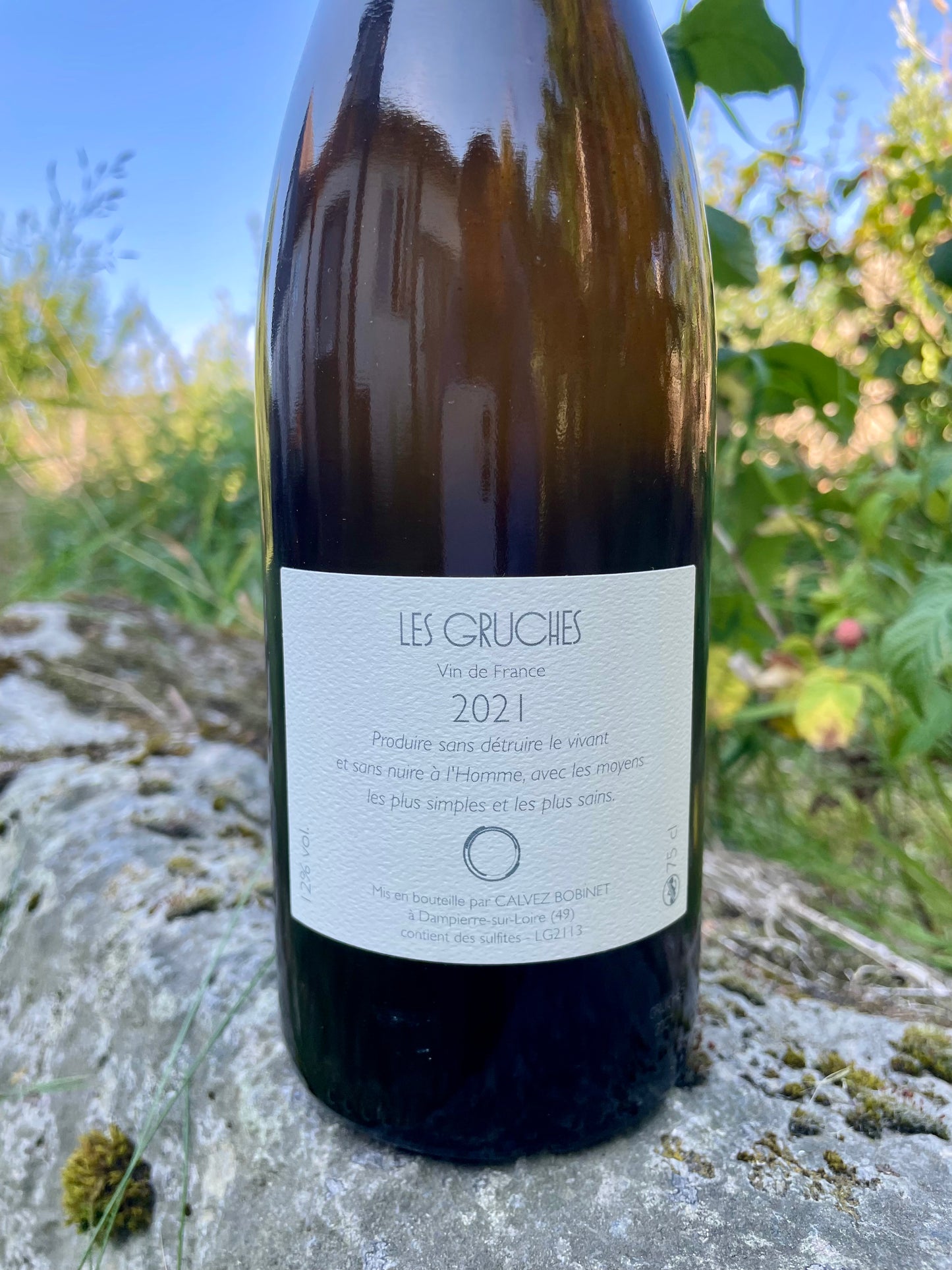 Domaine Bobinet - Les Gruches VdF 2021