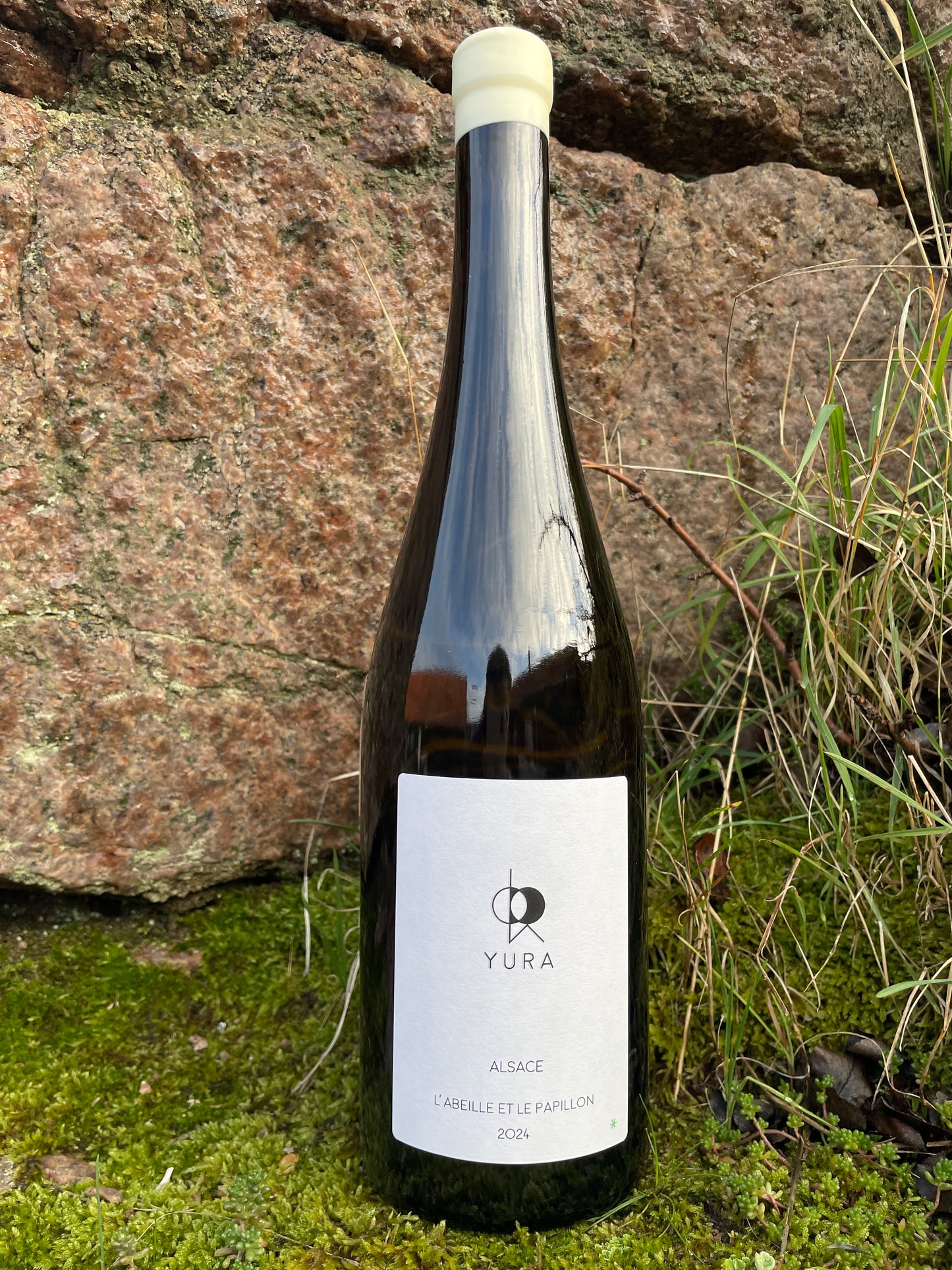 Jintaro Yura, L'Abeille et le Papillon 2024