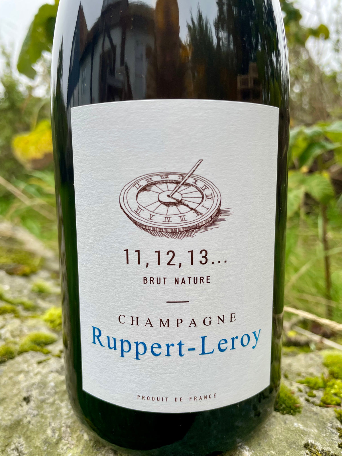 Ruppert-Leroy, 11,12, 13...2022