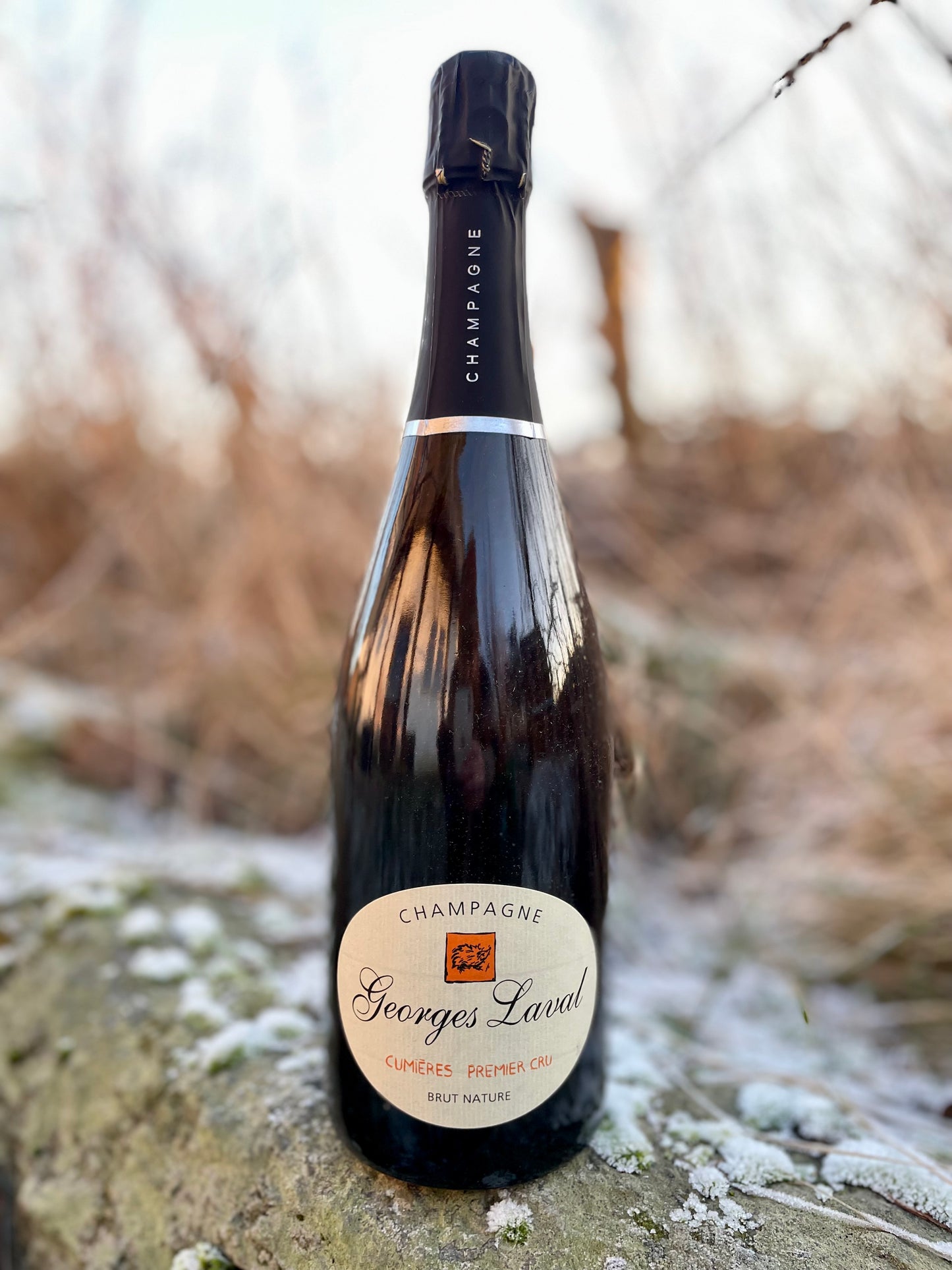 Georges Laval, Cumières 1. Cru Brut Nature, NV