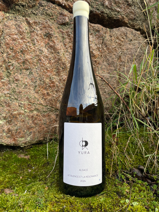 Jintaro Yura, Le Silence et la Résonance 2024