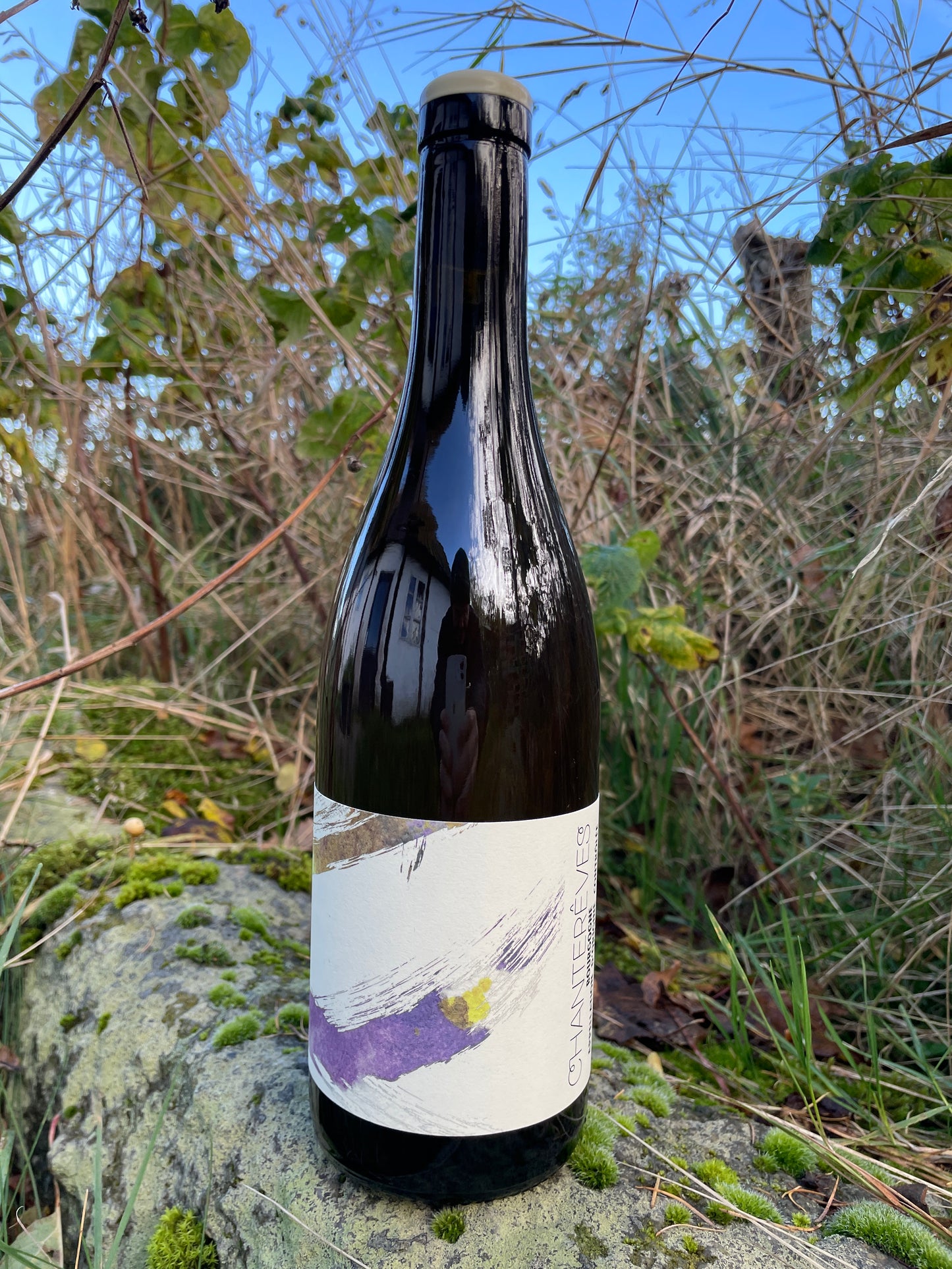 Shelf No. 115) Thomas Puéchavy, Les Vrilles '23