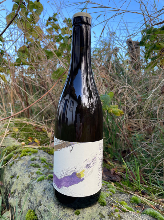 Shelf No. 115) Thomas Puéchavy, Les Vrilles '23