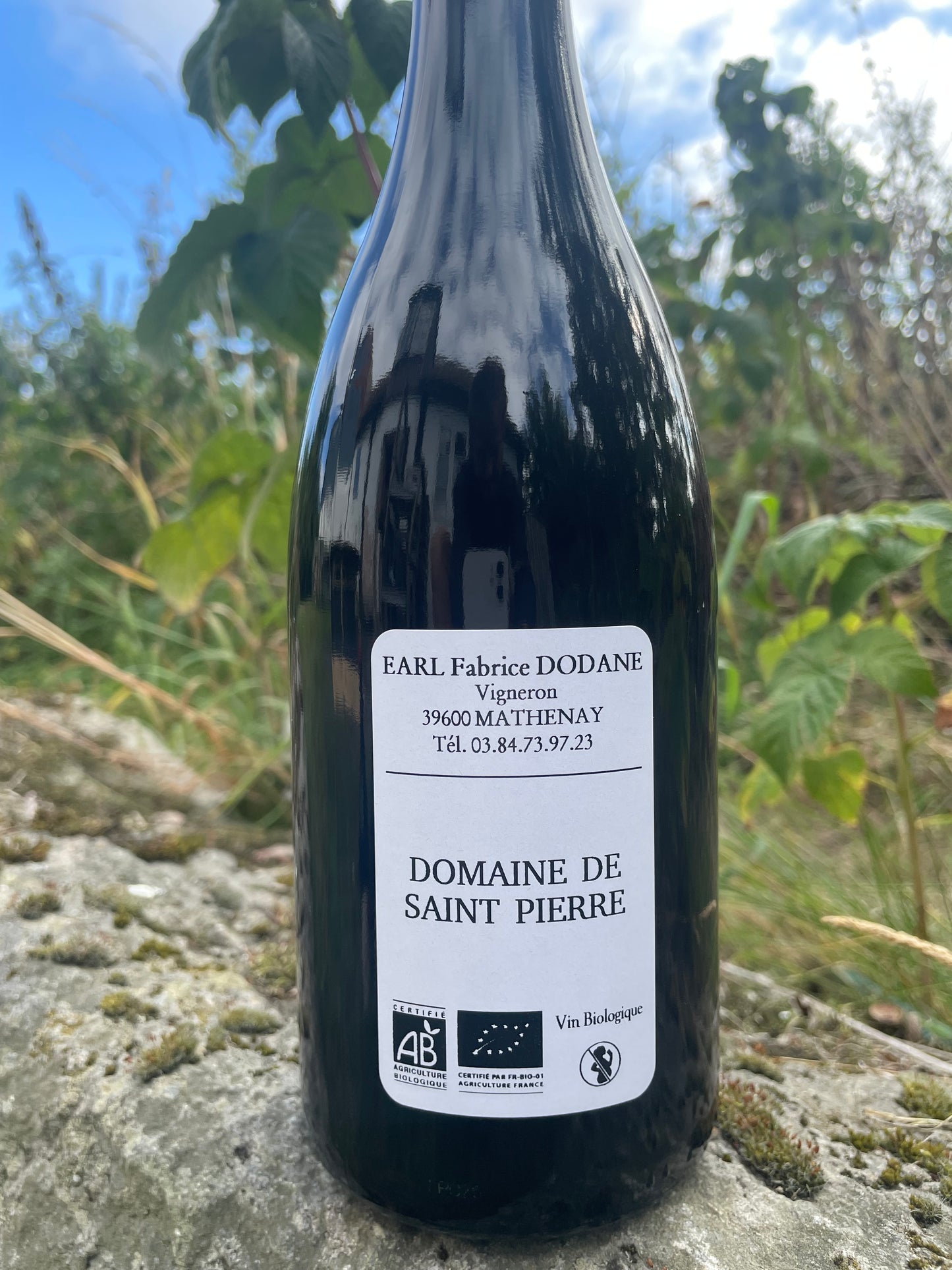 Domaine de Saint Pierre, Arbois Rouge "Petit Curoulet" 2025