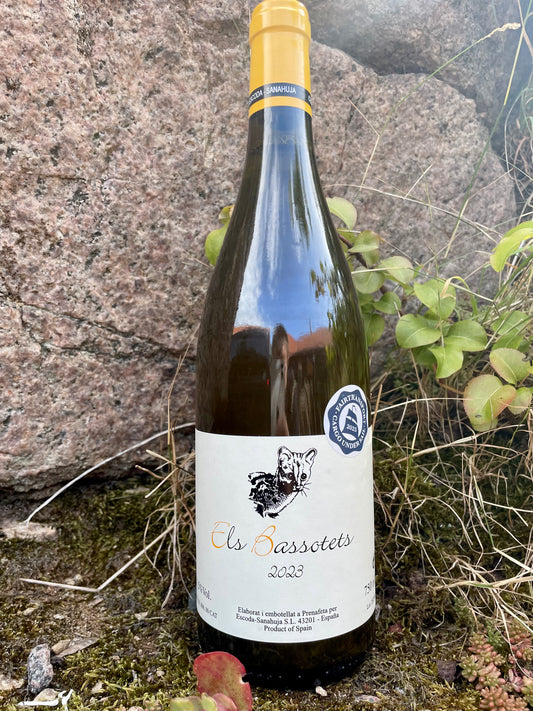 Escoda-Sanahuja, Els Bassotets blanc 2023