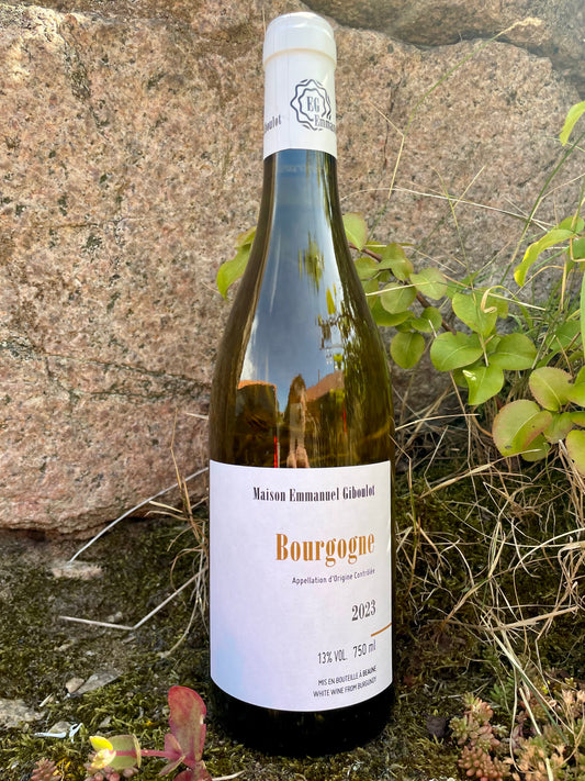 Maison Emmanuel Giboulot - Bourgogne Blanc 2023