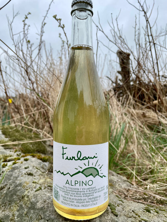 Cantina Furlani, Alpino '23