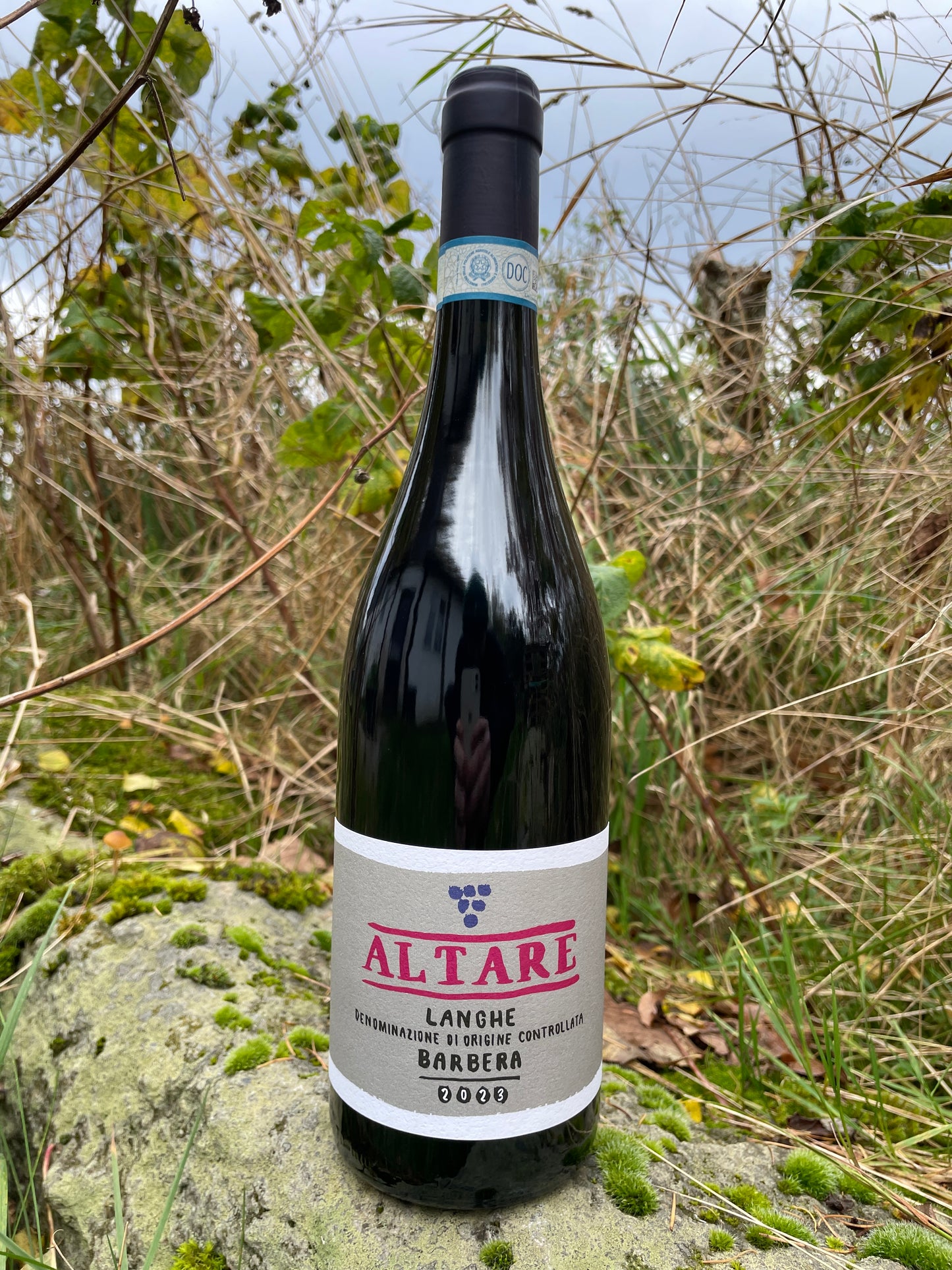 Shelf no. 136) Agricola Gaia, Barbera - Brich, 2023