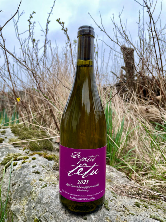 Jean Marie Berrux - Bourgogne Blanc "Le Petit Têtu 2023