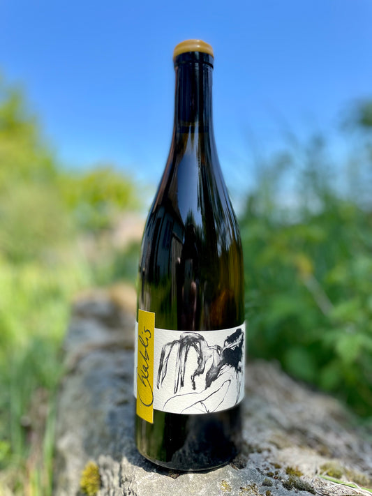 Domaine Pattes Loup, Chablis mise tardive 2022