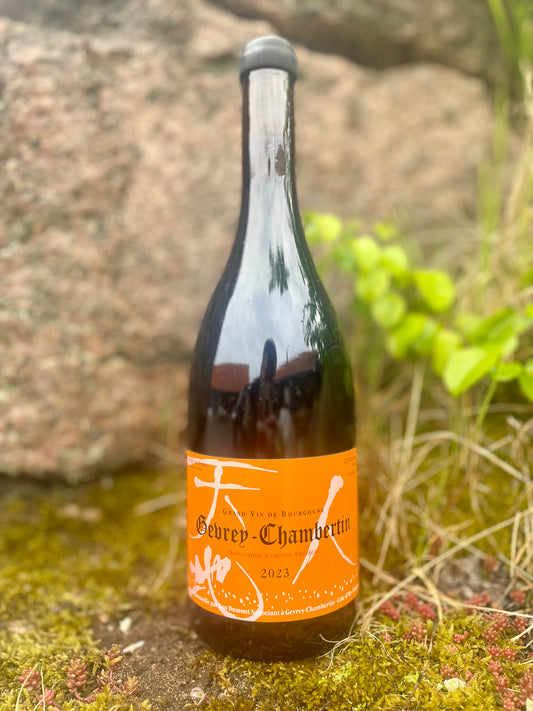 Lou Dumont - Gevrey-Chambertin 2023